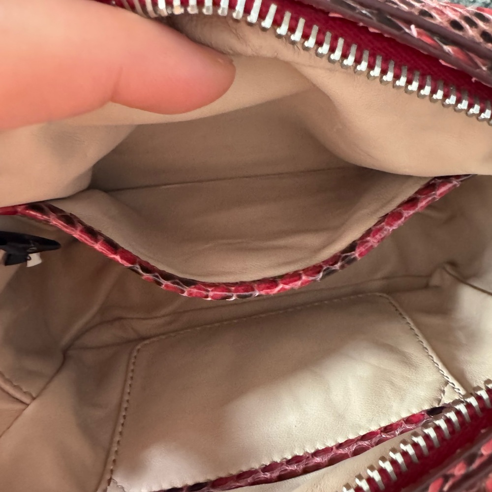 Prada Python Crossbody Bag - Picture 11 of 13